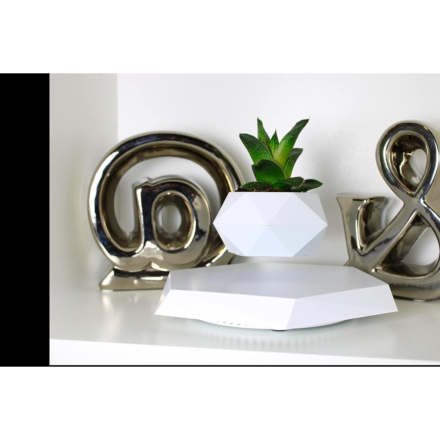 Maceta Flotante YFUG GO Blanca para Suculentas y Bonsai