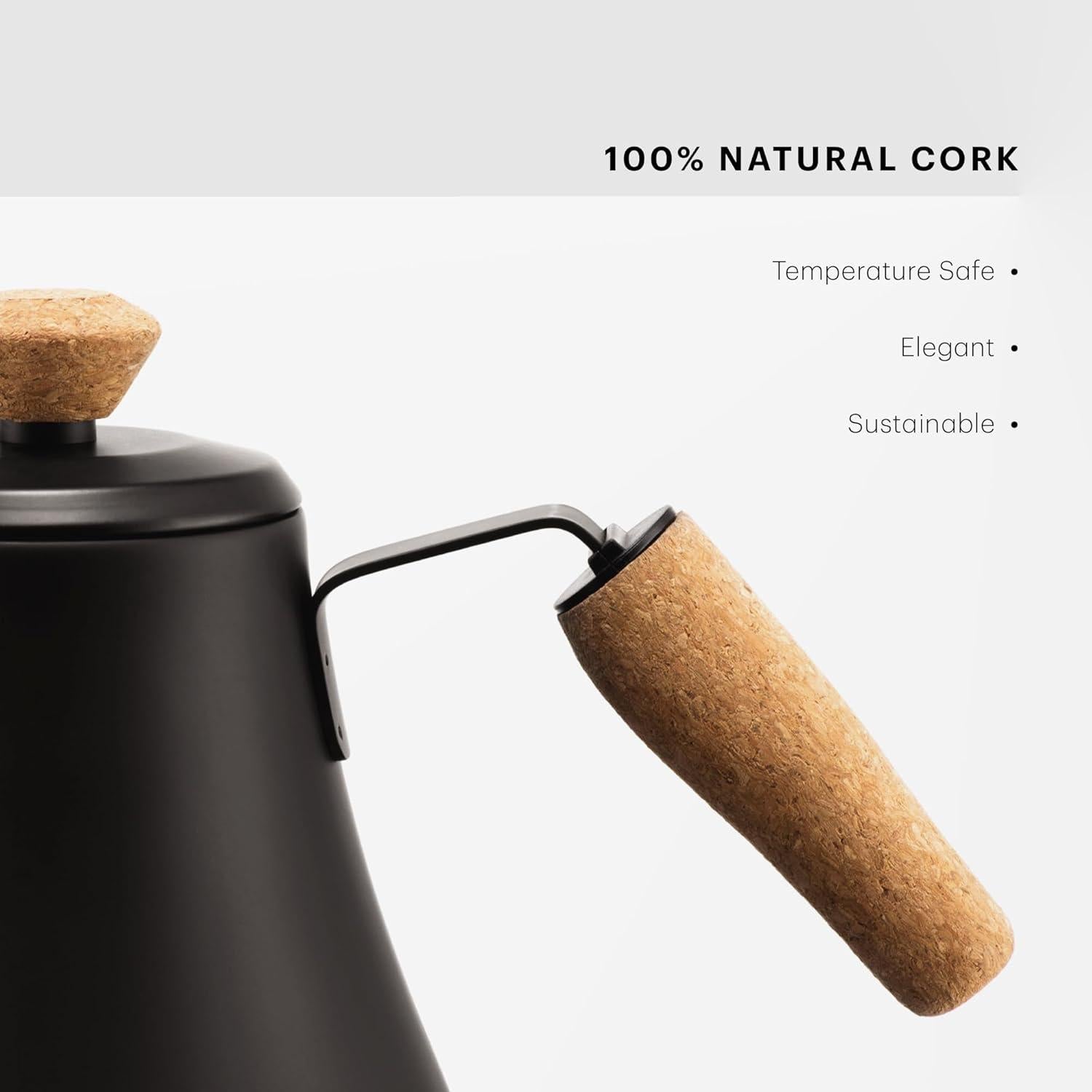 Tetera Eléctrica de Cuello de Ganso Bodum Melior 0.8L Acero Inoxidable