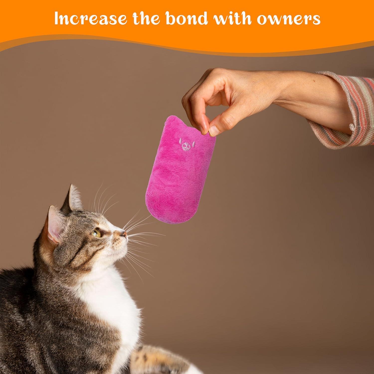 Juguetes para Gatos Seyezo - 5 Pzs Multicolor Interactivos