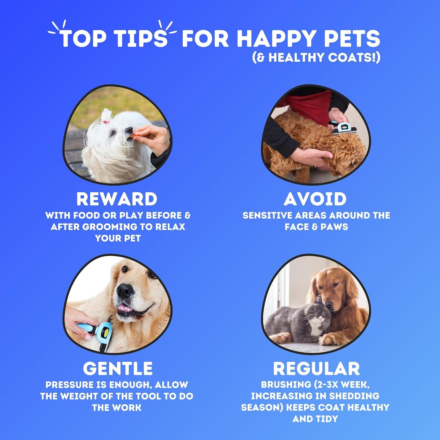 Cepillo Deshedding DakPets para Gatos y Perros - Acero Inoxidable