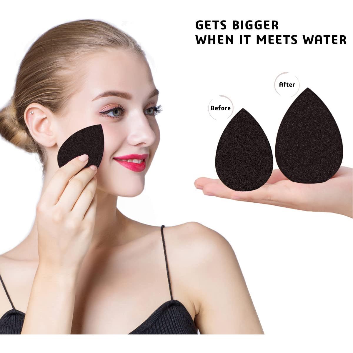 Juego de Esponjas de Maquillaje Leeshine 4Pcs + Soporte y Estuche