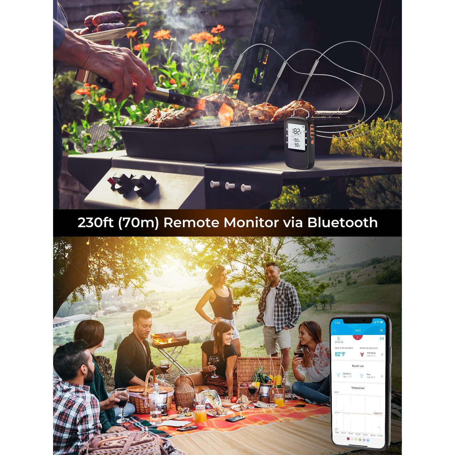 Termómetro de Carne Bluetooth Govee H5055 con 2 Probetas