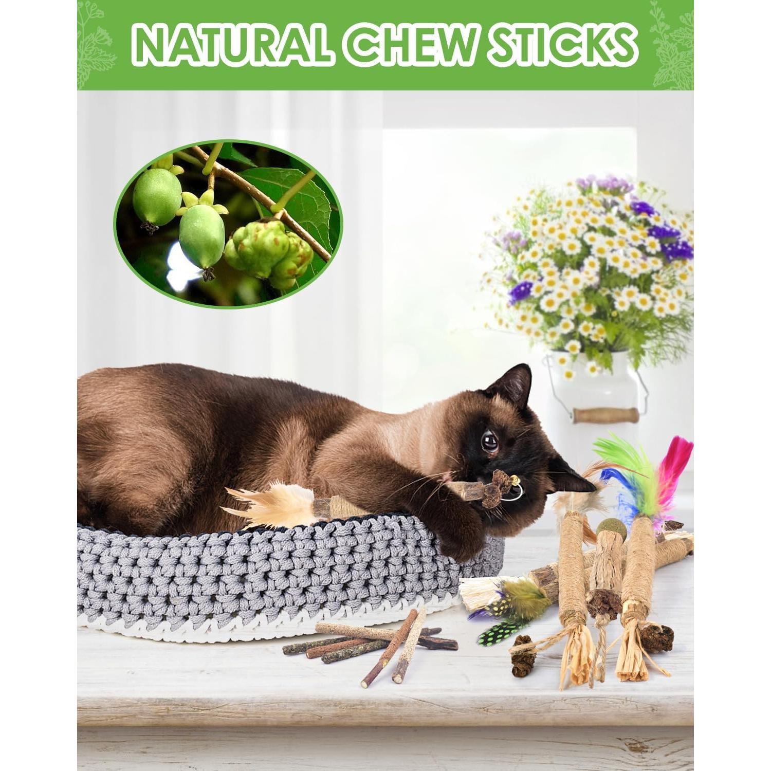 Palos de Masticar para Gatos TINDTOP - Paquete de 12, Natural