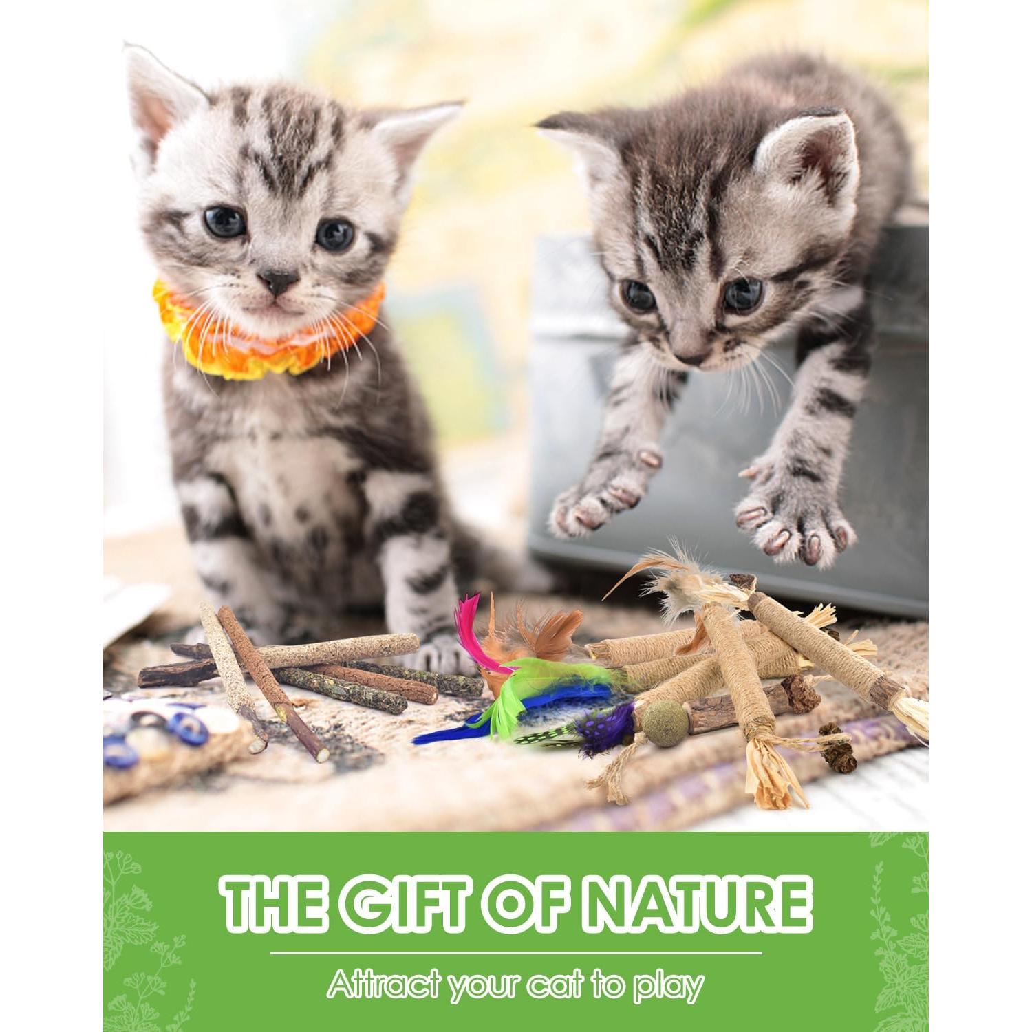 Palos de Masticar para Gatos TINDTOP - Paquete de 12, Natural