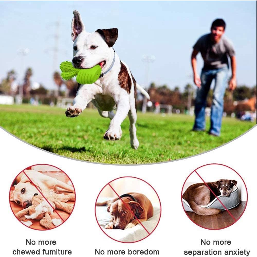 Juguete Masticable Cactus Pamlulu para Perro Mediano Verde