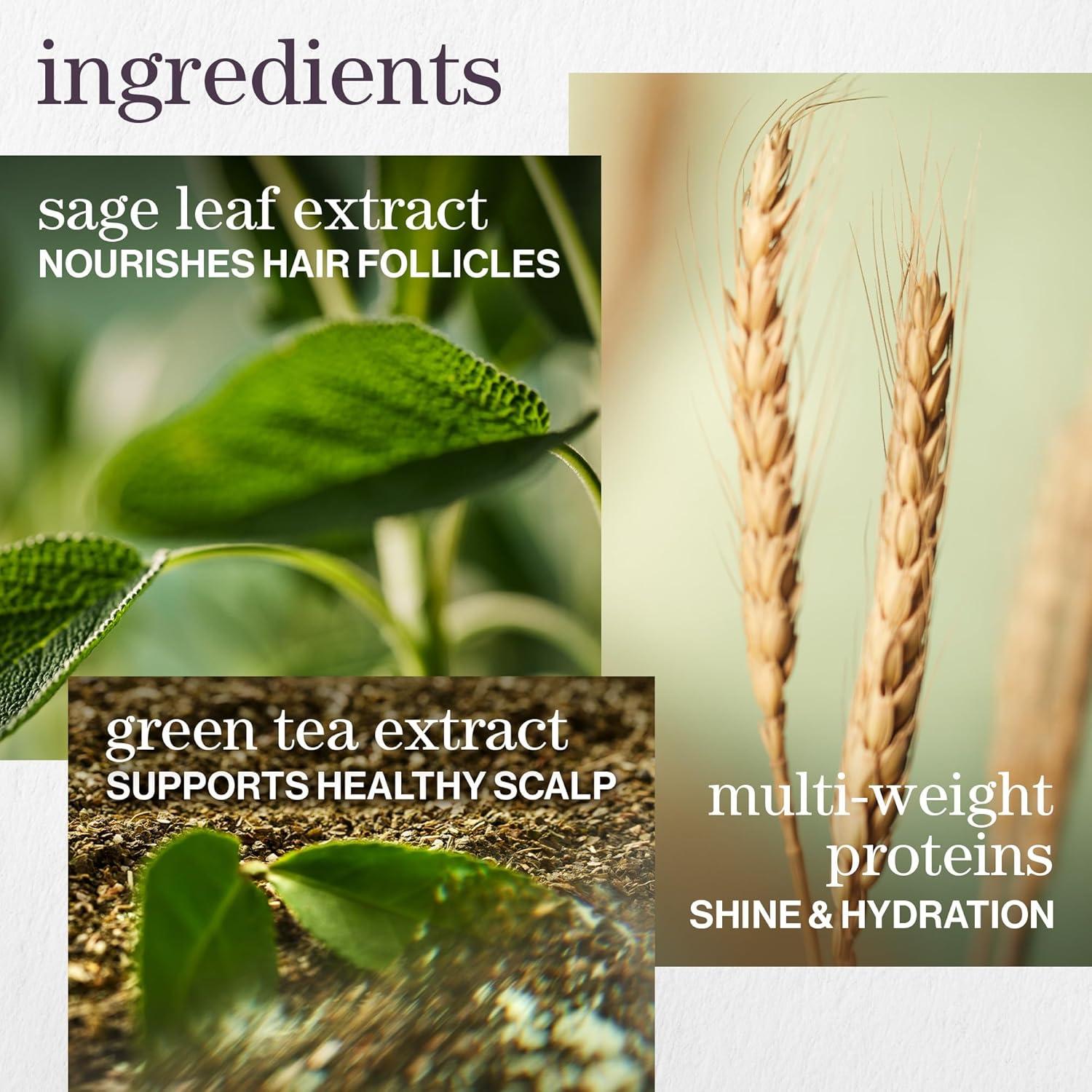 Acondicionador Pureology Hydrate 50 ml - Cabello Seco y Color