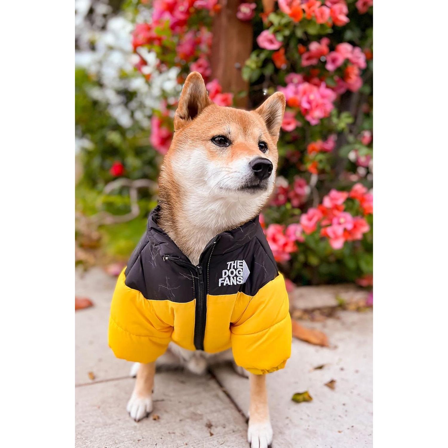 Abrigo ChoChoCho para Perros XL Amarillo - Invierno Cálido