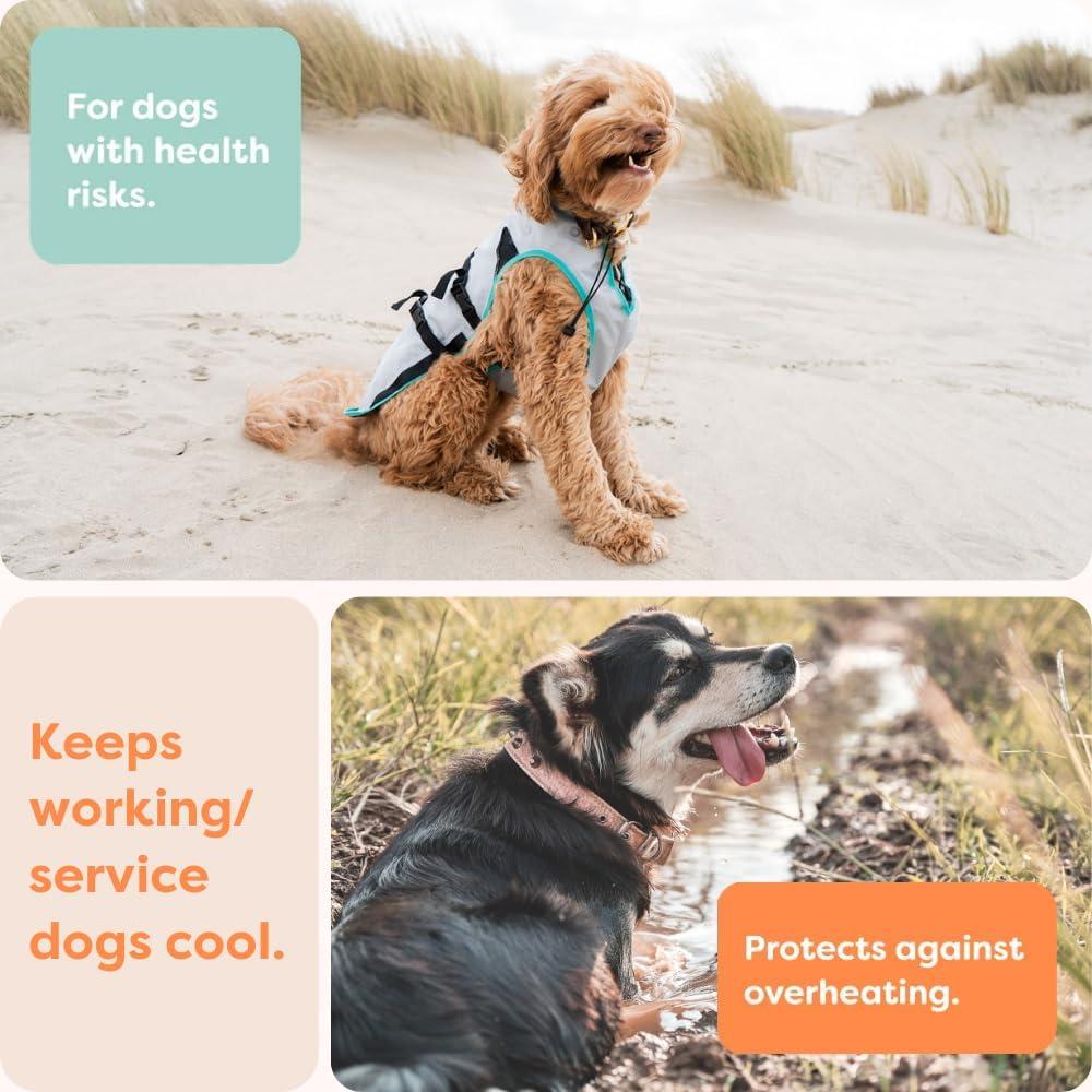 Chaleco Enfriador Suitical para Perros | Talla S | Plata