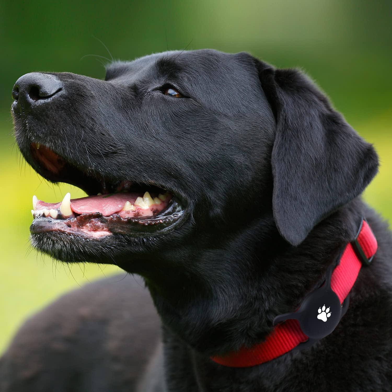 2 Soportes de Collar para Airtag Yiliuoer - Silicona Impermeable