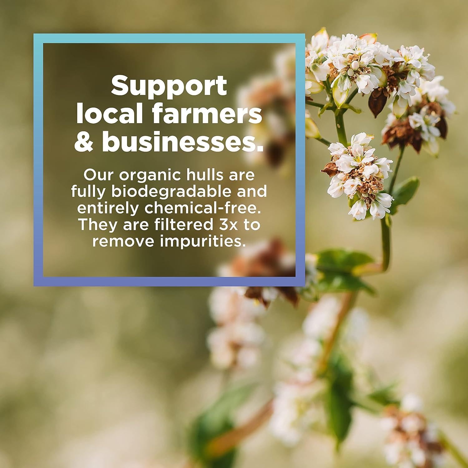 Relleno de cáscaras de trigo sarraceno orgánico 0.45 kg