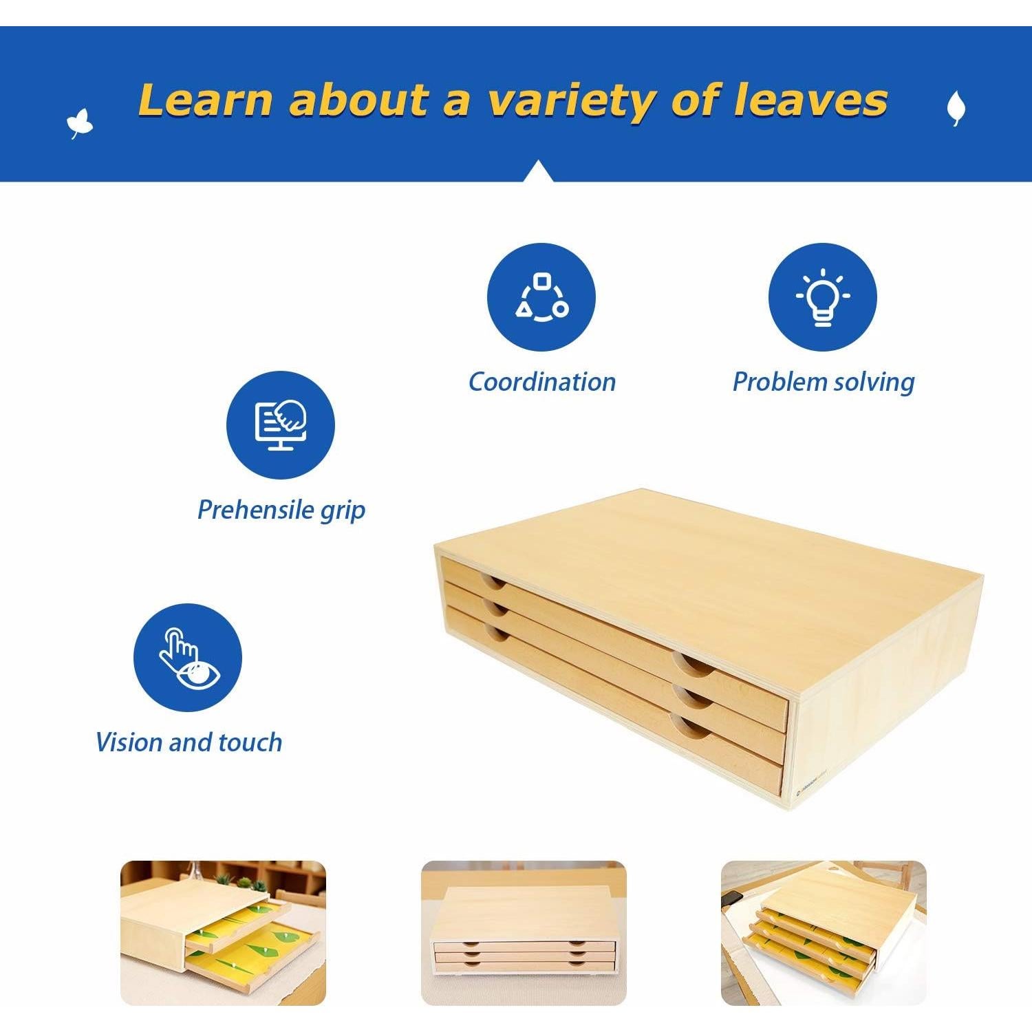 Gabinete de Botánica Montessori Outlet para Niños 3-6 Años