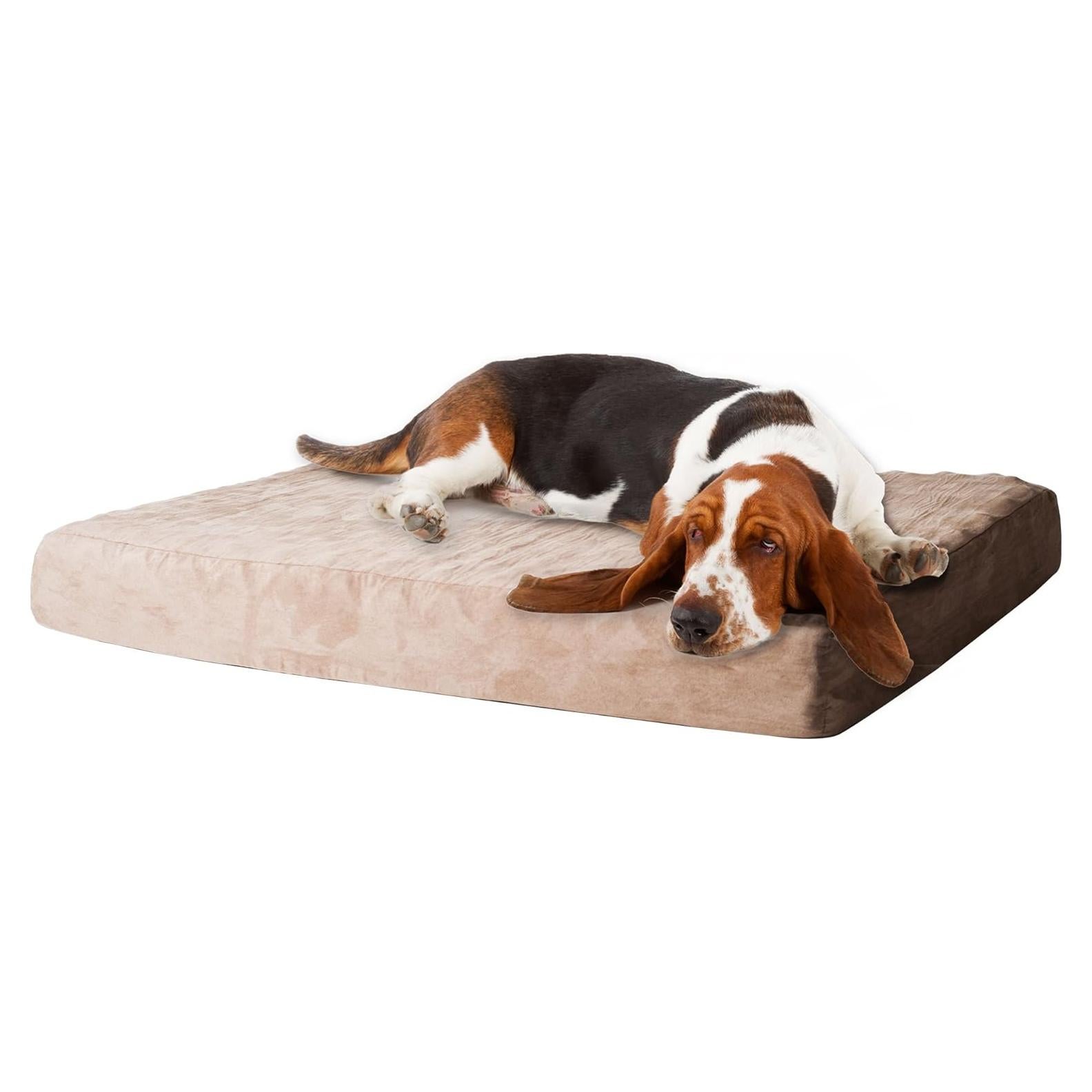 Cama para Perros Mediana PETMAKER Espuma Viscoelástica Beige