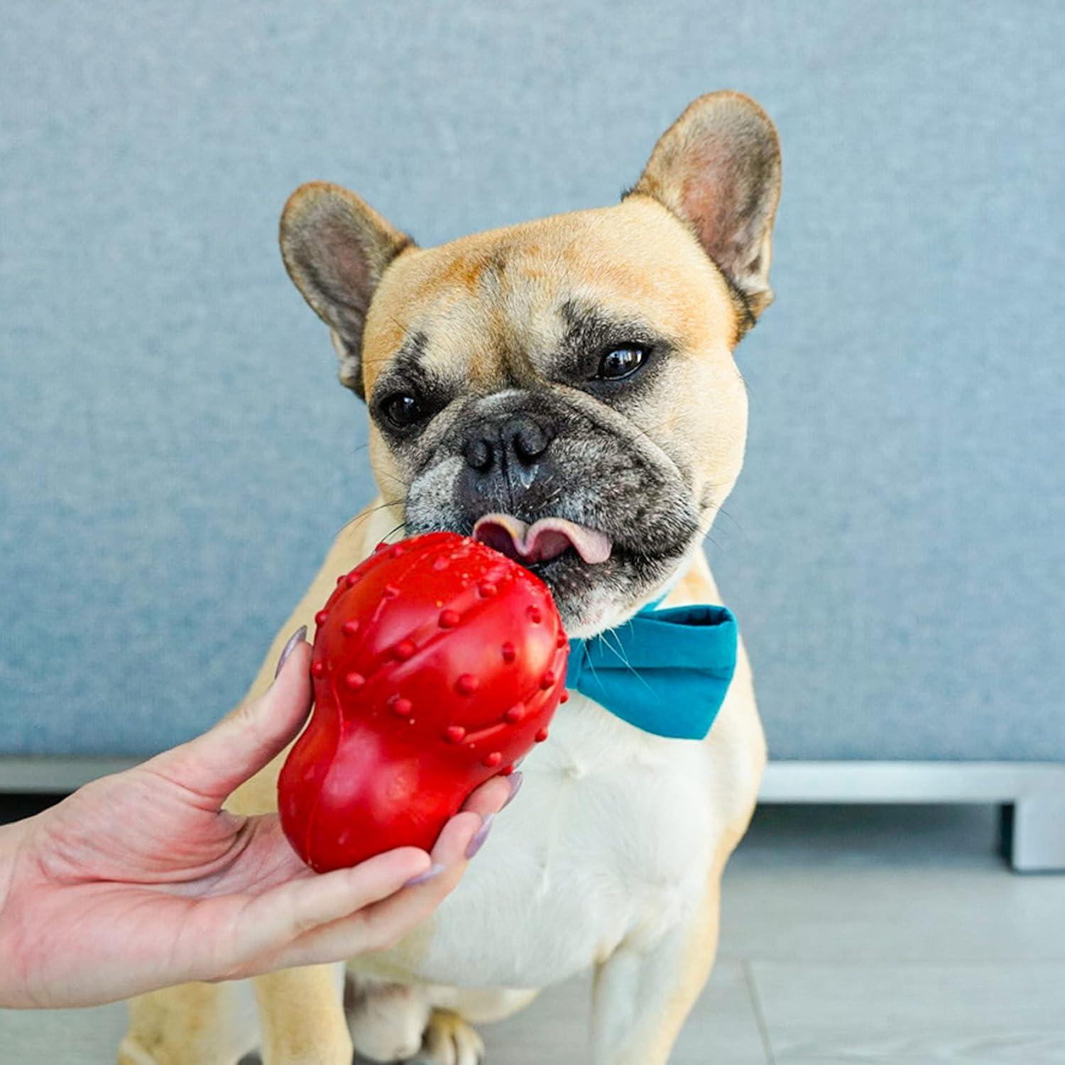 Juguete Masticable Rellenable Nylabone Pequeño Tocino 122g