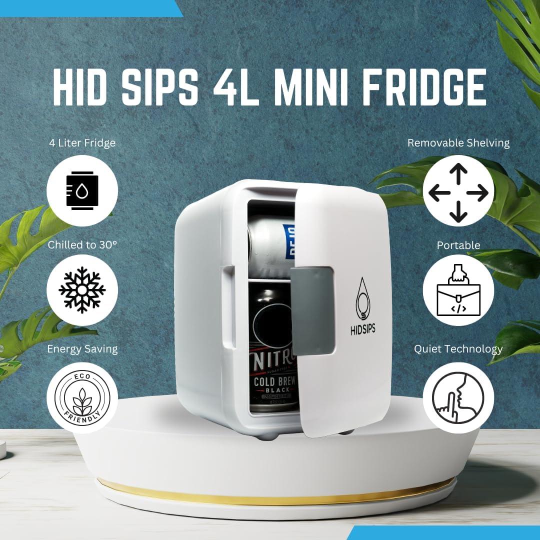 Mini Nevera Termoeléctrica SYPS 4L - Enfriador y Calentador