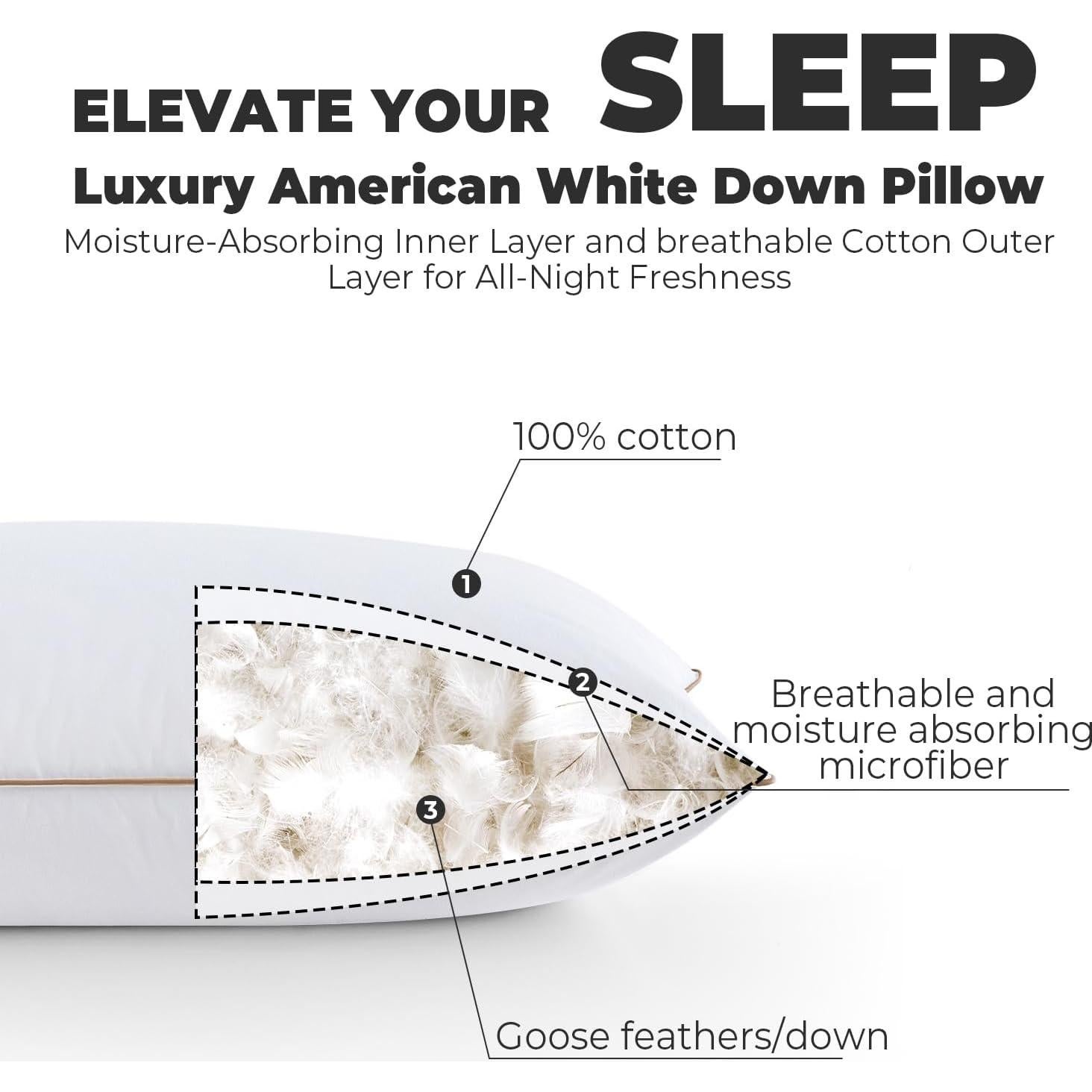 Almohadas de Plumas Dreamhood Estándar 50x66 cm Juego de 2