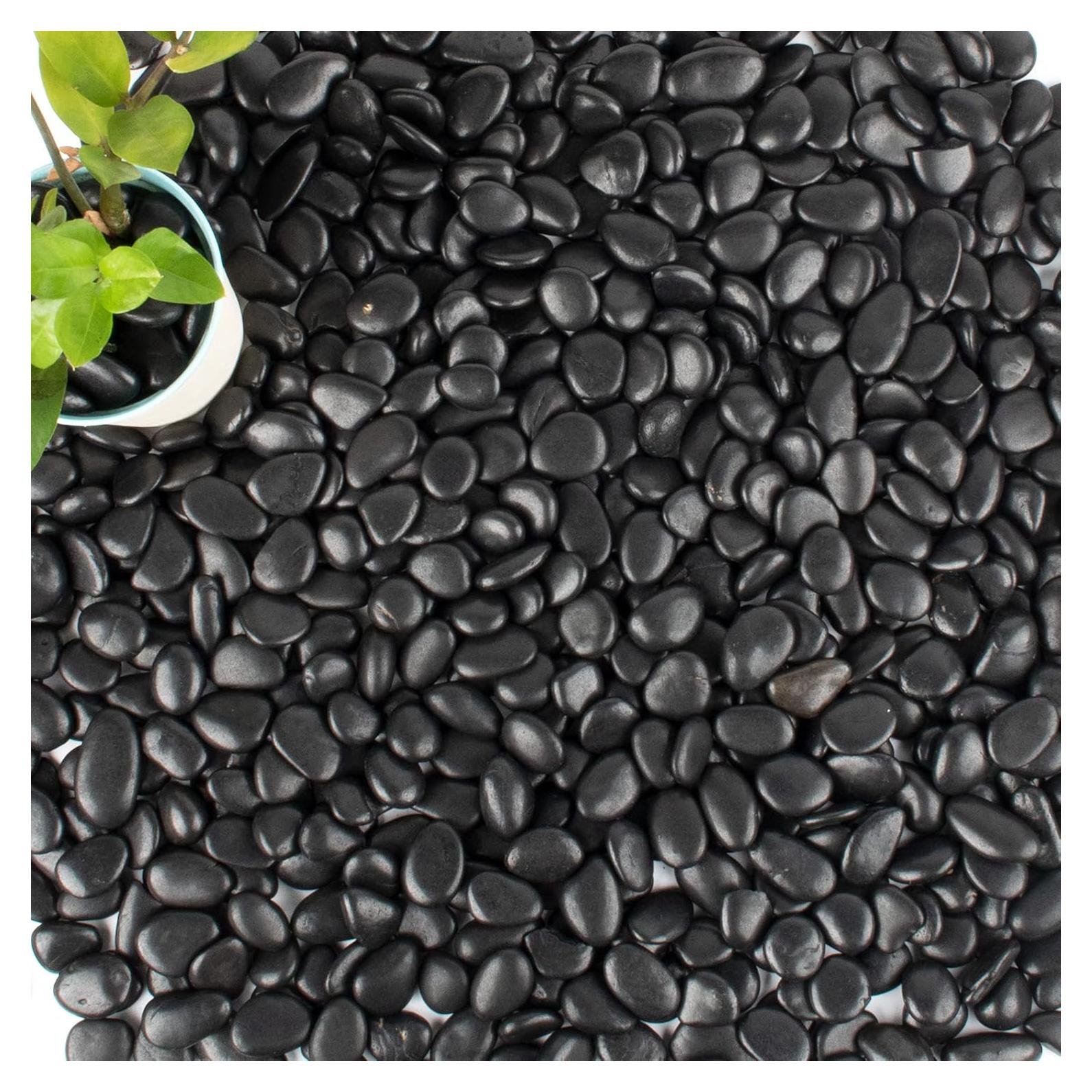 Piedras Negras Pulidas 8.16 kg 2.54 cm para Jardín y Acuario