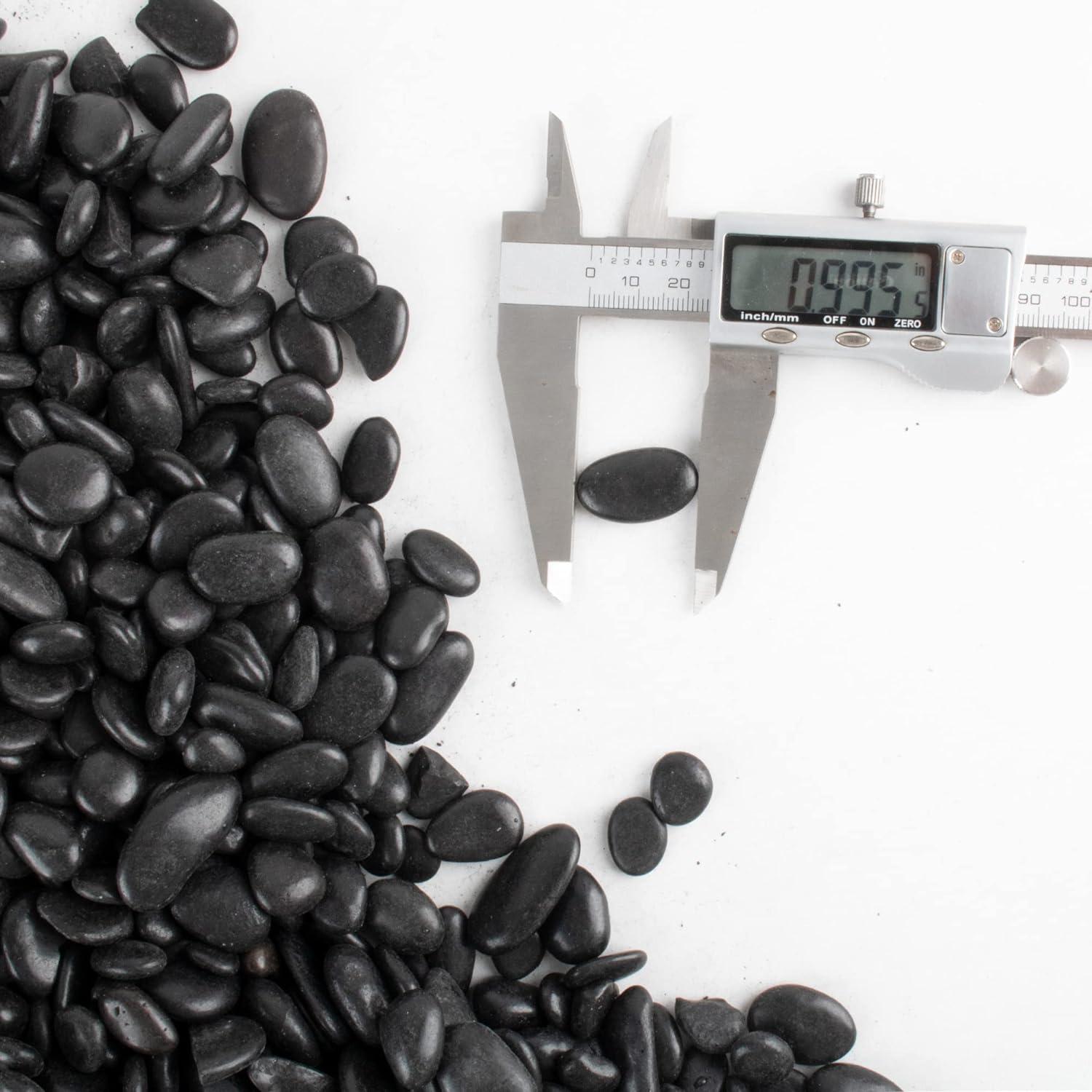 Piedras Negras Pulidas 8.16 kg 2.54 cm para Jardín y Acuario