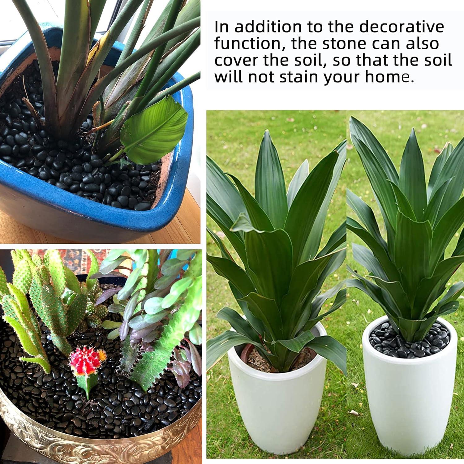 Piedras Negras Pulidas 8.16 kg 2.54 cm para Jardín y Acuario