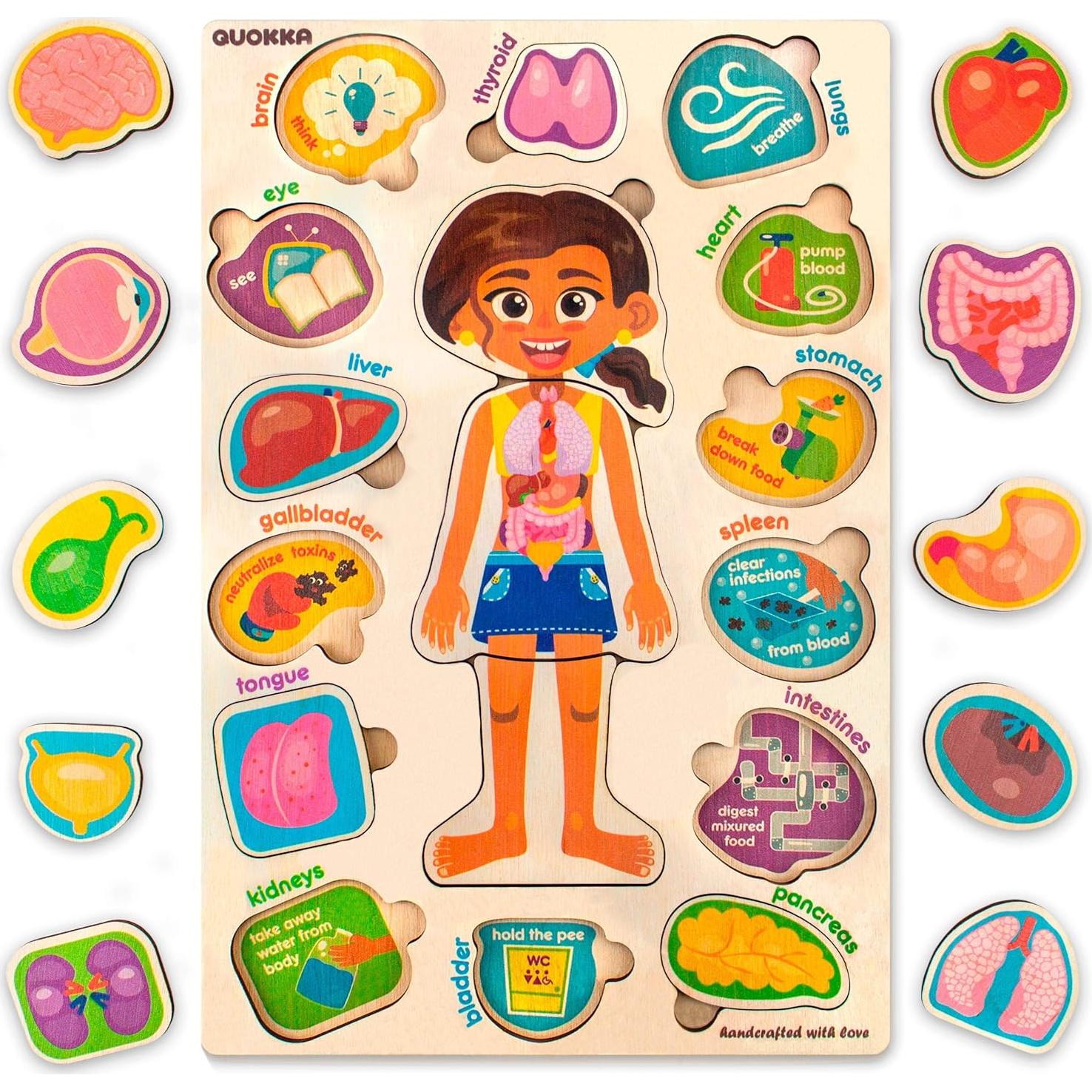 Puzzle Educativo Quokka Cuerpo Humano 2-6 Años 37x25cm