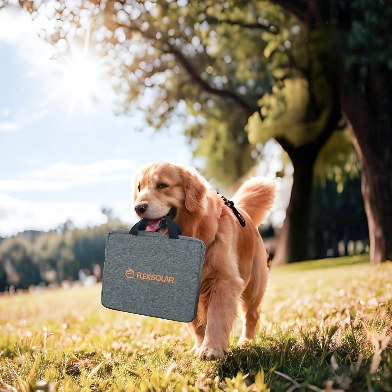 Panel Solar Portátil FlexSolar 100W con USB-C y DC IP67