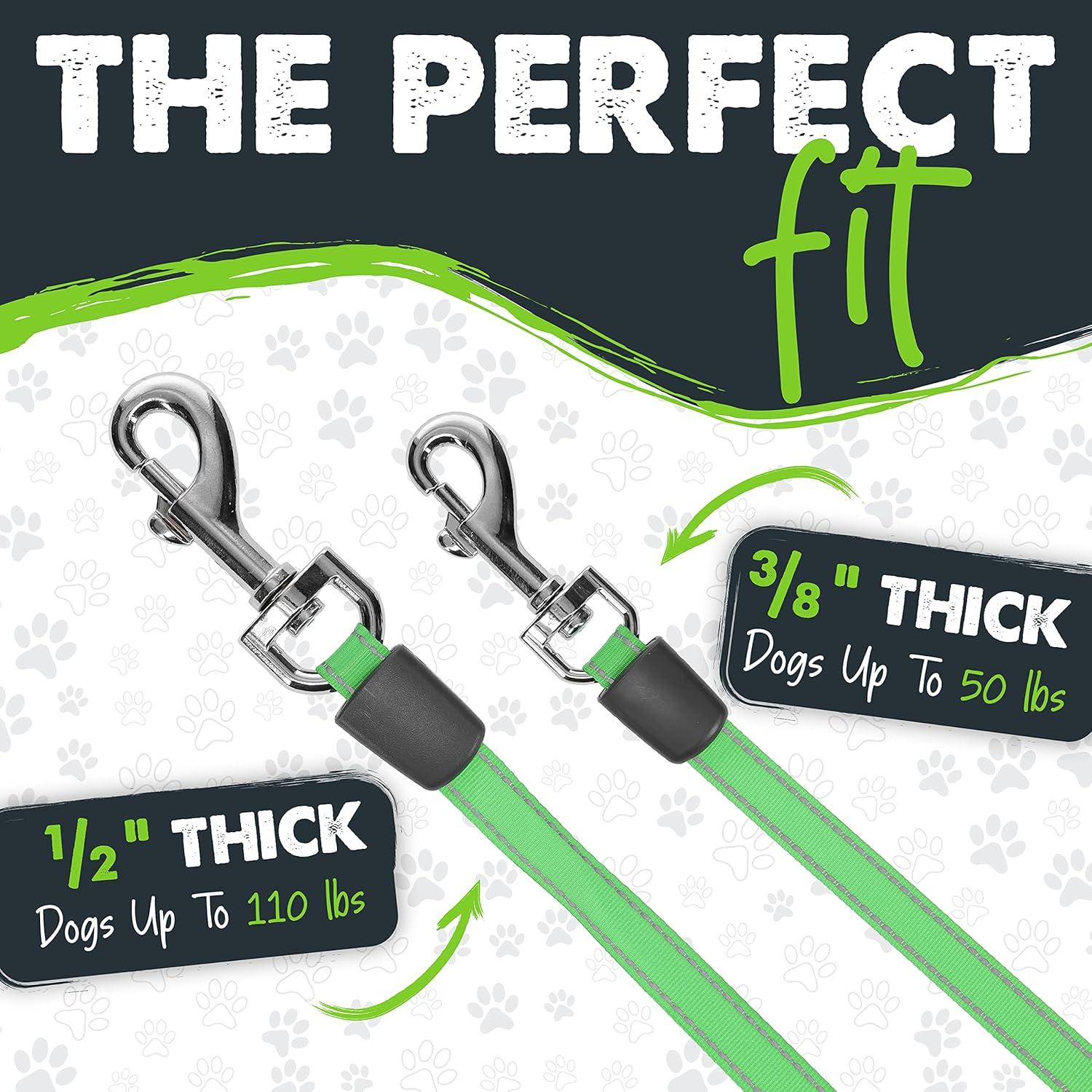 Correa Retráctil Mighty Paw 4.88m para Perros hasta 22.68kg