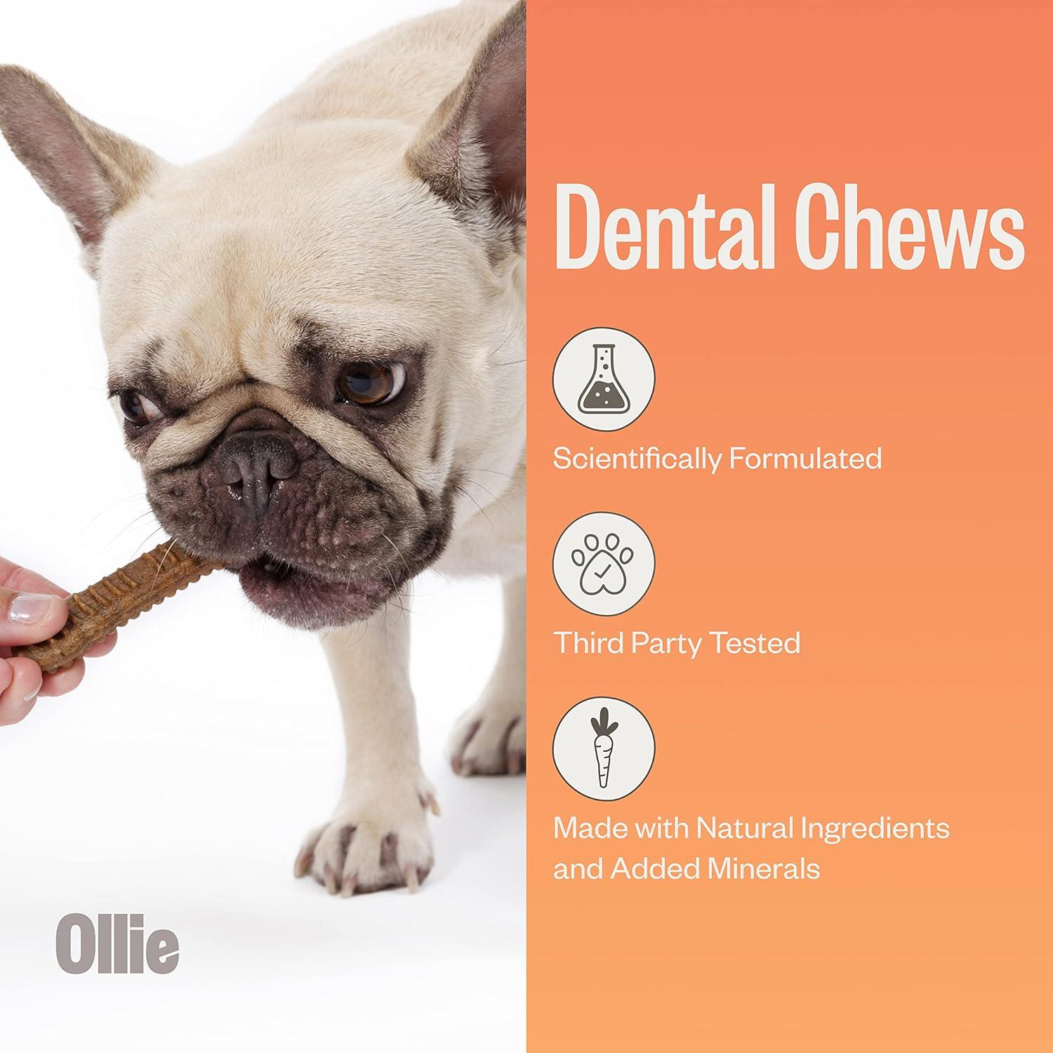 Ollie Dental Chews para Perros Extra Pequeños 340 g - Aliento Fresco