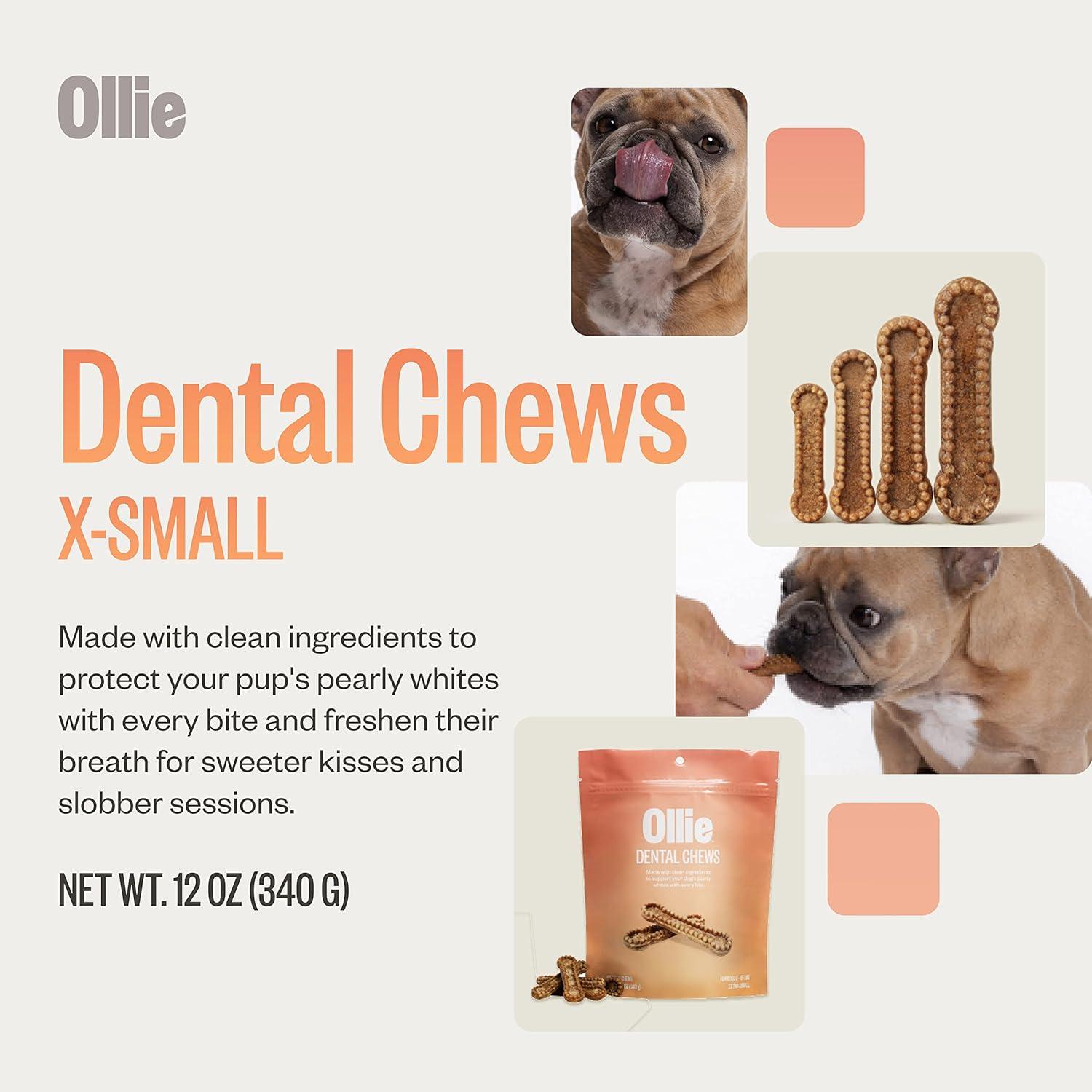 Ollie Dental Chews para Perros Extra Pequeños 340 g - Aliento Fresco
