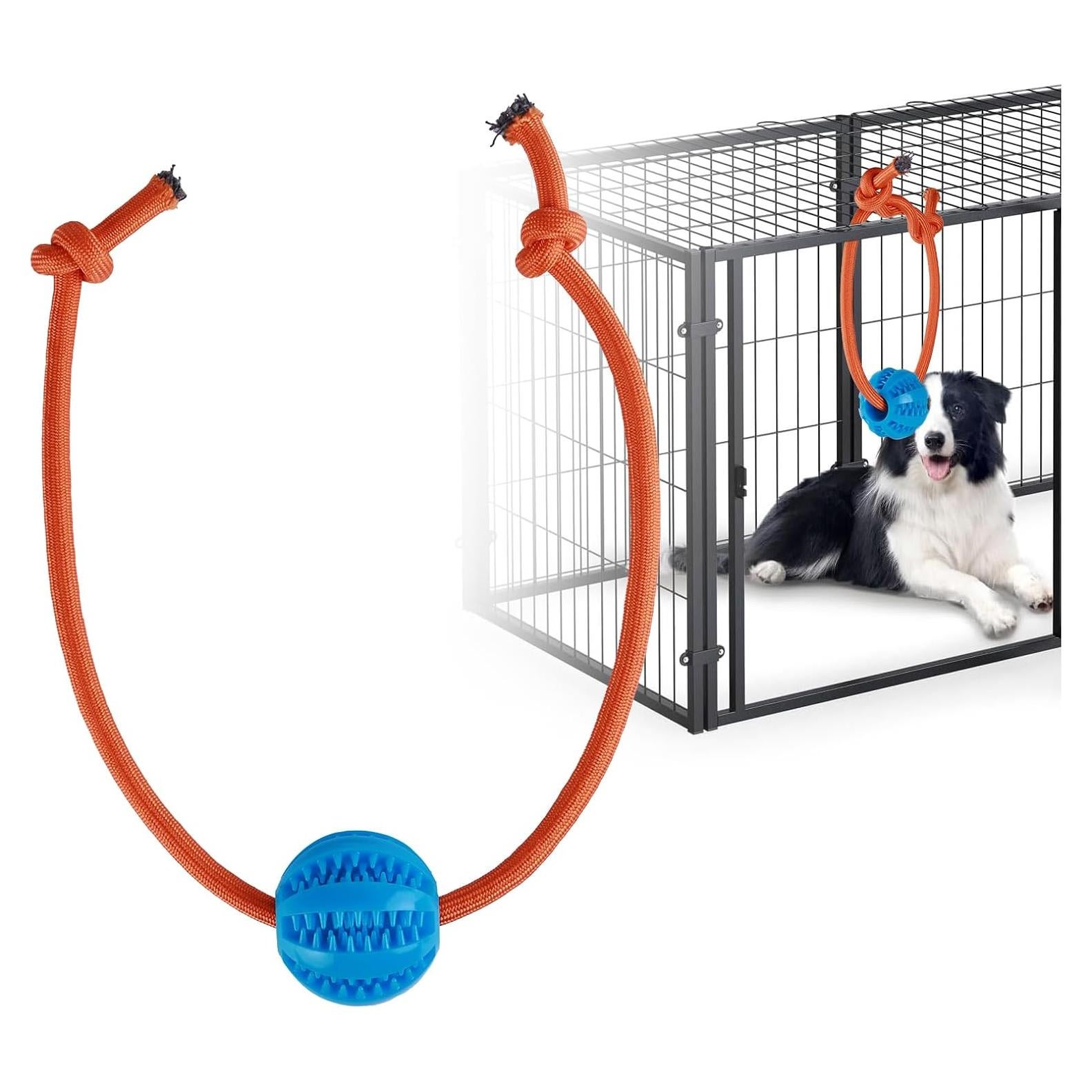 Juguete Dispensador de Comida para Perros MVSSP Azul 6.88 cm