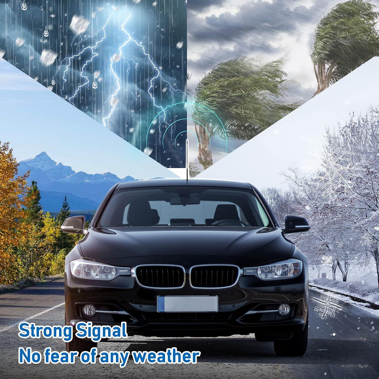 Antena de Coche Eightwood 40.64 cm Montaje en Techo