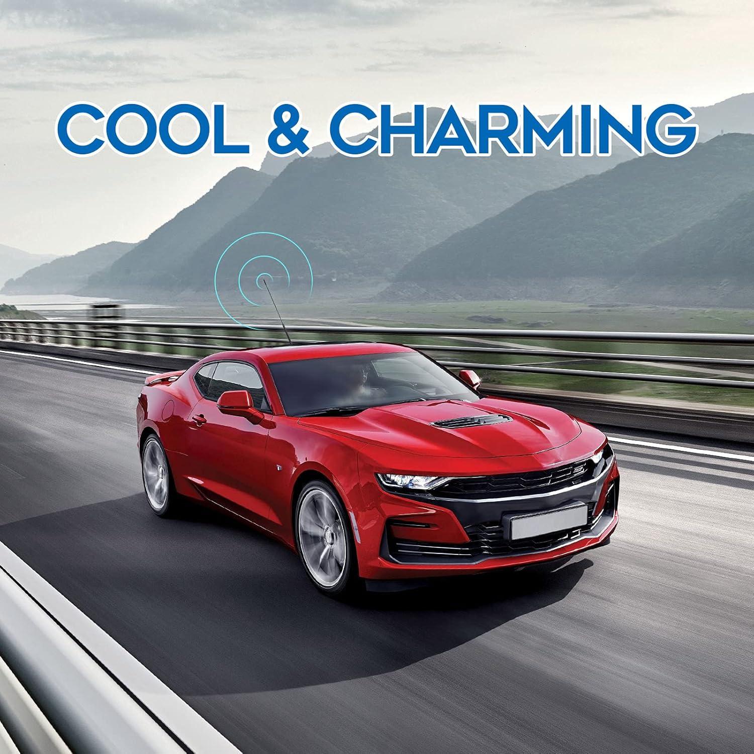 Antena de Coche Eightwood 40.64 cm Montaje en Techo