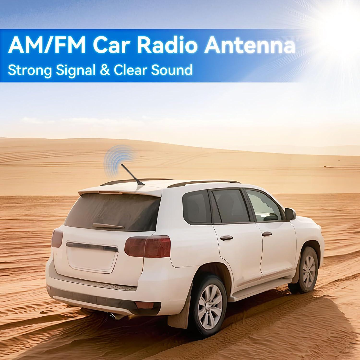 Antena Ajustable FM AM Eightwood para Radio de Coche