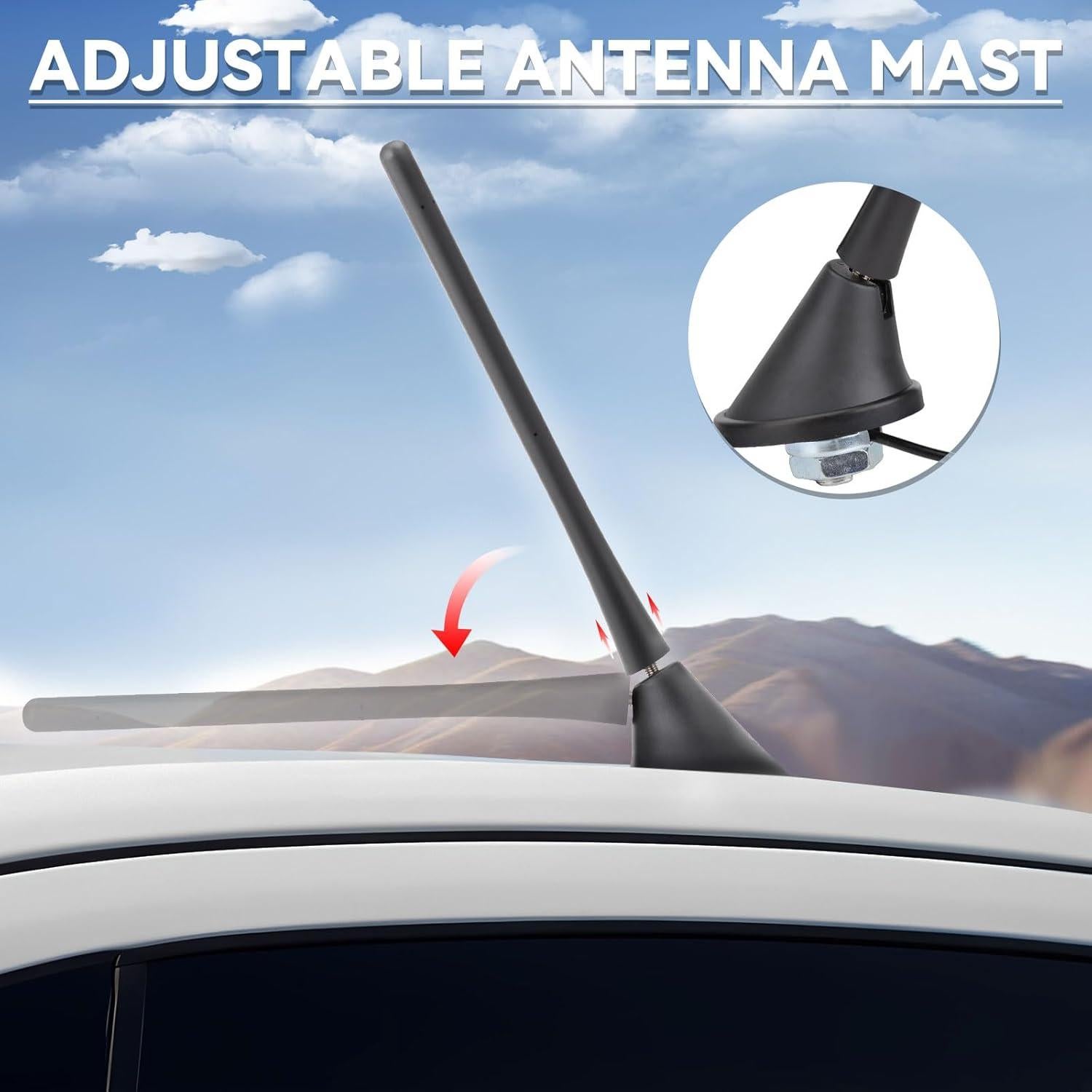 Antena Ajustable FM AM Eightwood para Radio de Coche