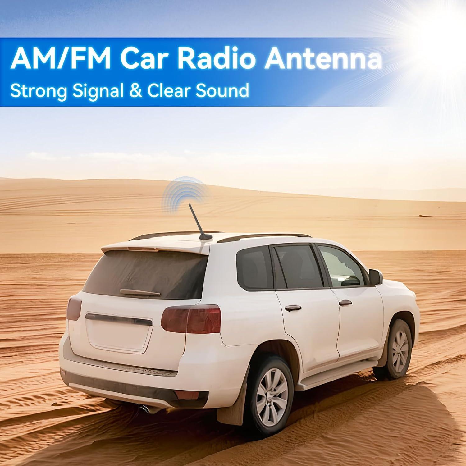 Antena de Radio Universal Eightwood para Automóvil FM AM 7dBi