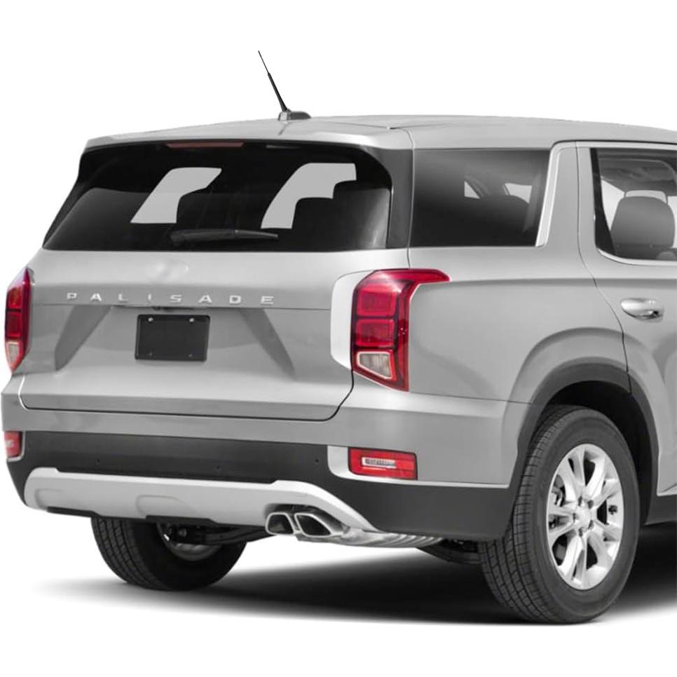 Antena de Radio Negra RooFox para Hyundai Palisade 2020-2024