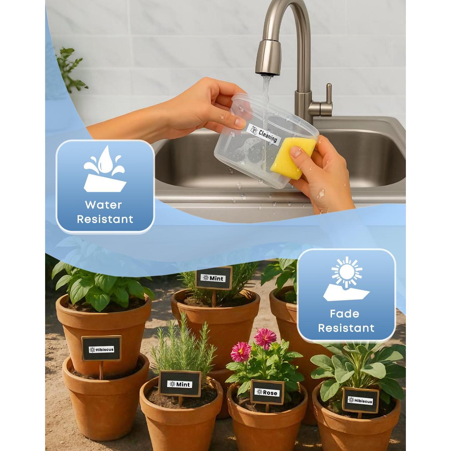 Cinta de Etiqueta Laminada COLORWING TZe-231 12mm 6-Pack