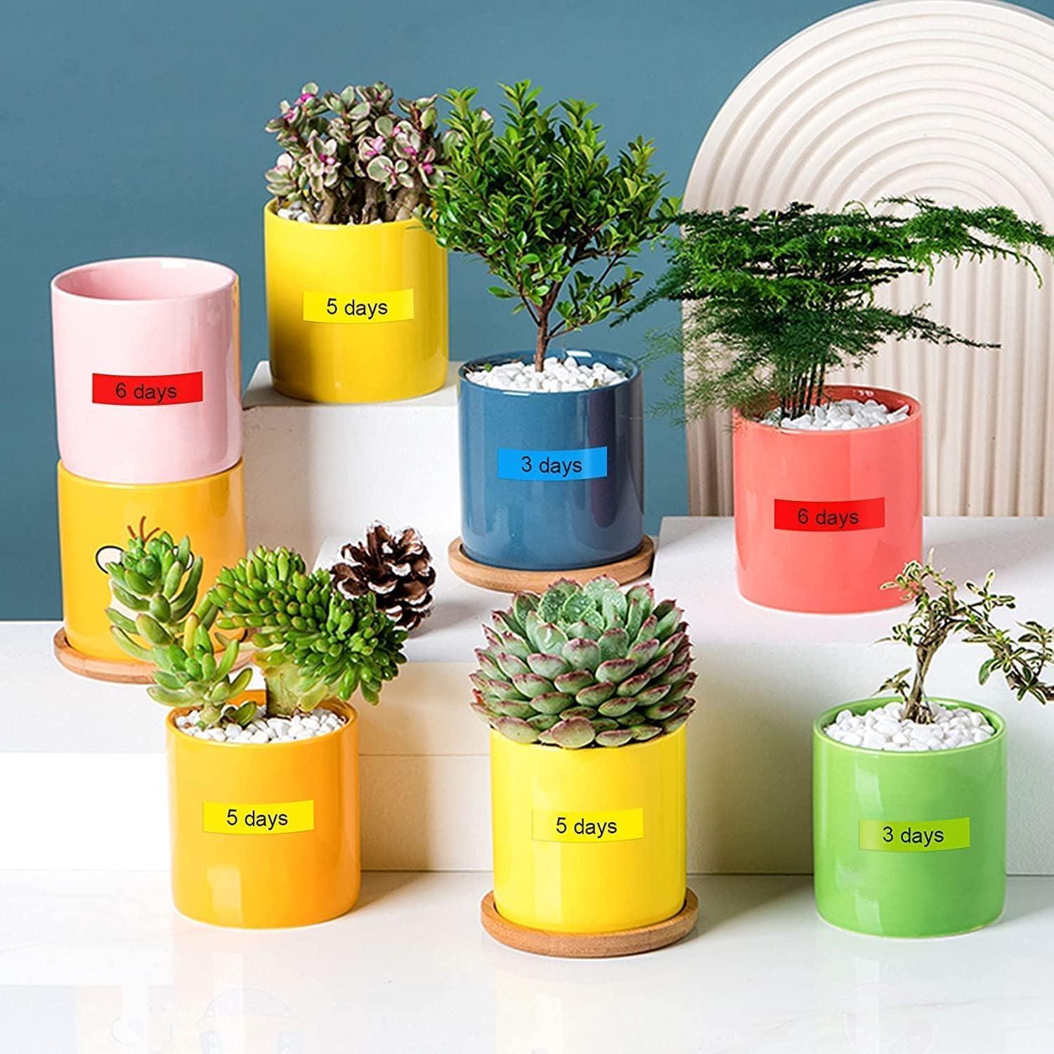 Cinta de Etiquetas UNOKA TZe 12mm Multicolor 6PK para Brother