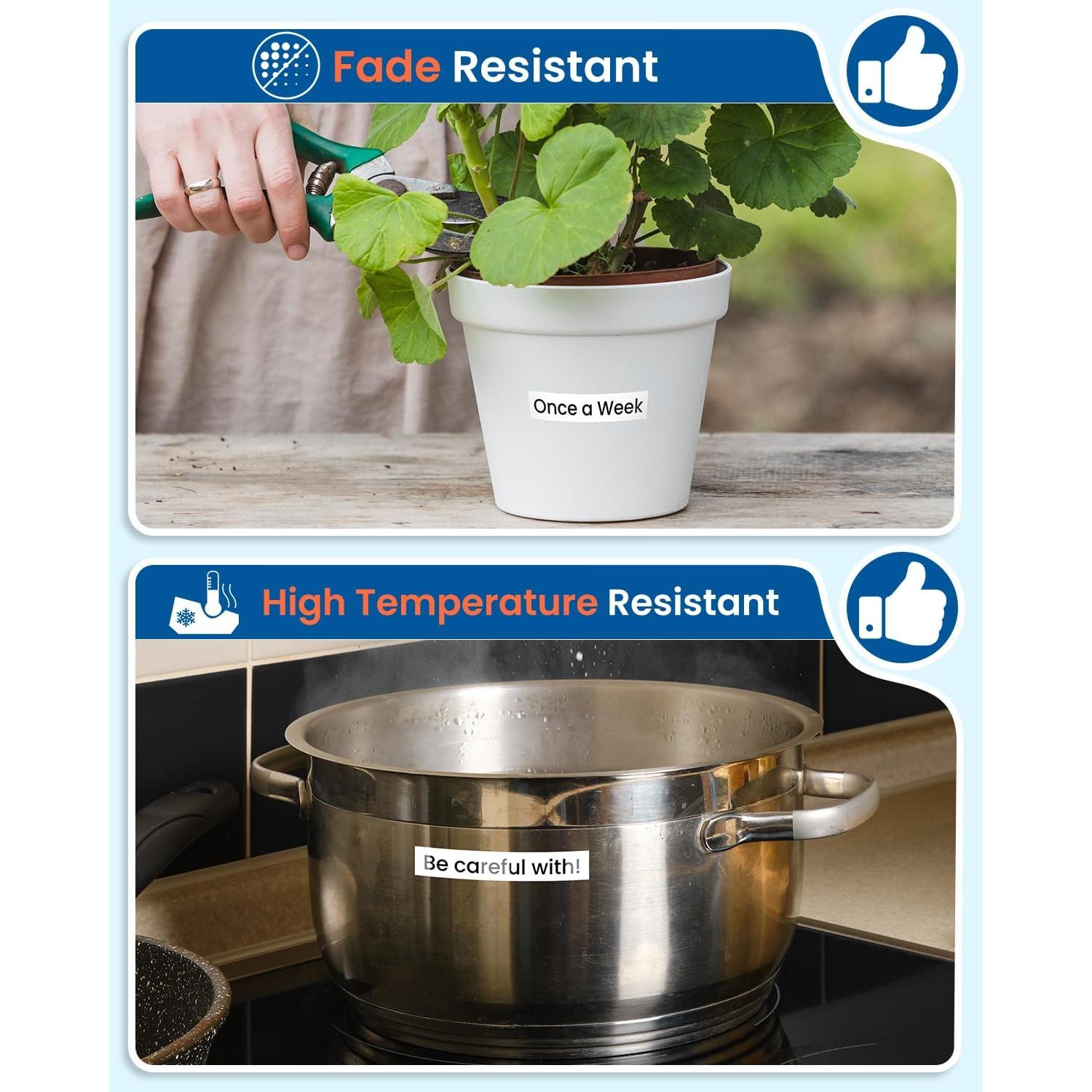 Cinta de Etiquetas Labelife 12mm TZe-231 Laminada Blanca - 10 Pack