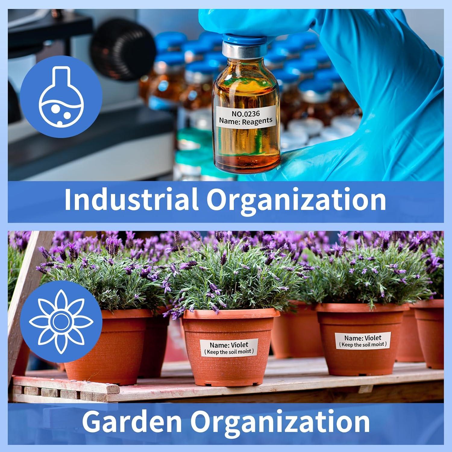 Cinta de Etiquetas Laminadas Suminey TZe-241 18mm Paquete 5