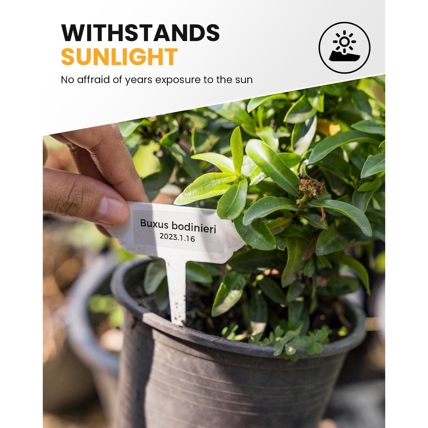 Cinta de Etiquetas Laminada COLORTY TZe-141 18mm Negro Transparente - 6 Rollos