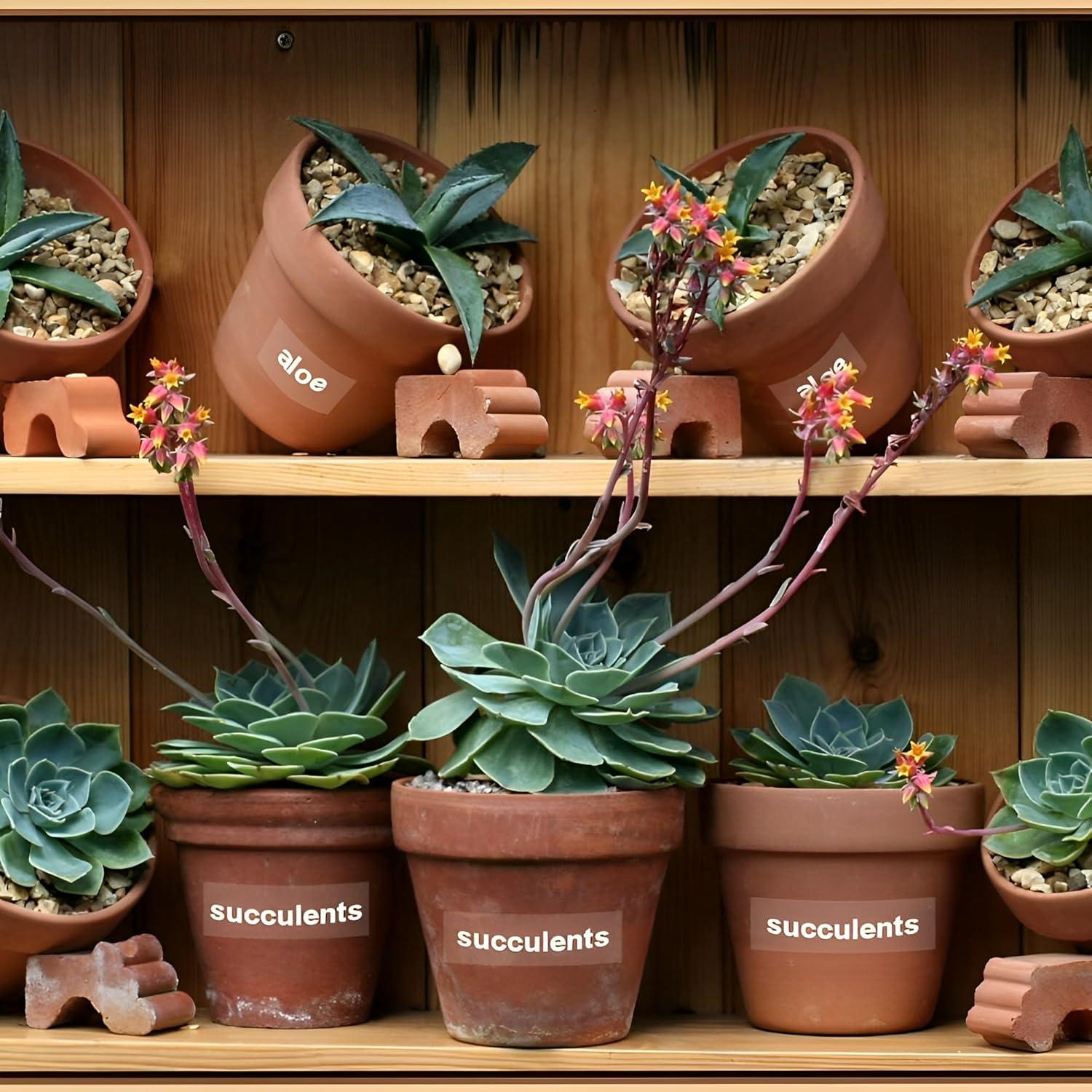 Cinta de Etiqueta Buyalot TZe-155 24mm Blanca Transparente Paquete 2