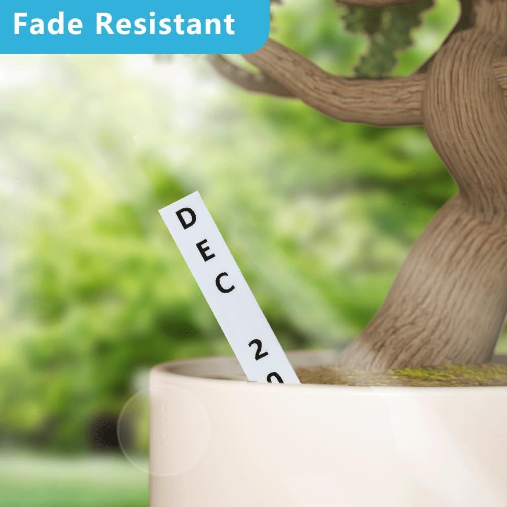 Cinta de Etiquetado Hehua TZe221 6 Paquetes 9mm Negro sobre Blanco