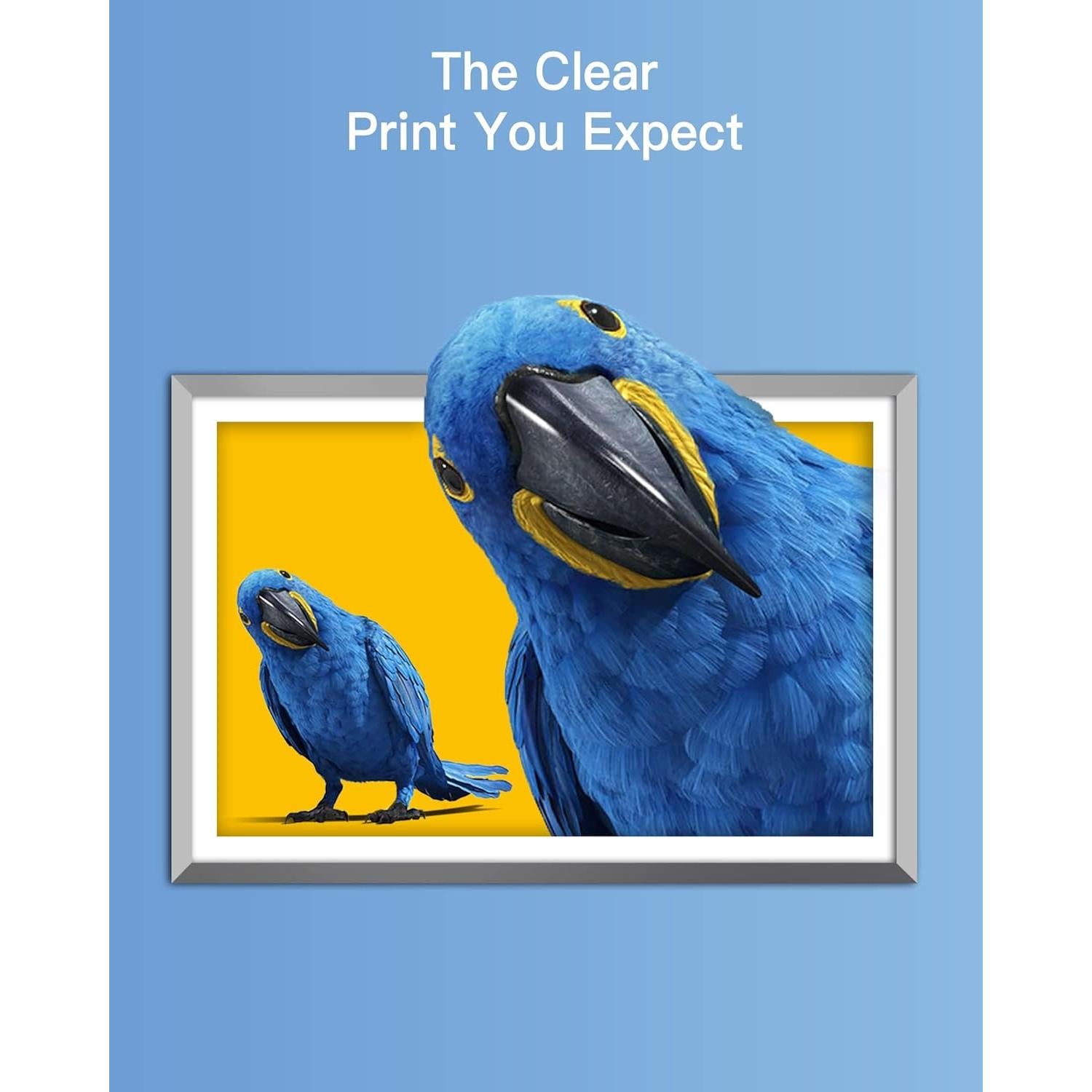 Cartucho de tinta GPC Image LC103XL compatible Brother - Paquete de 10