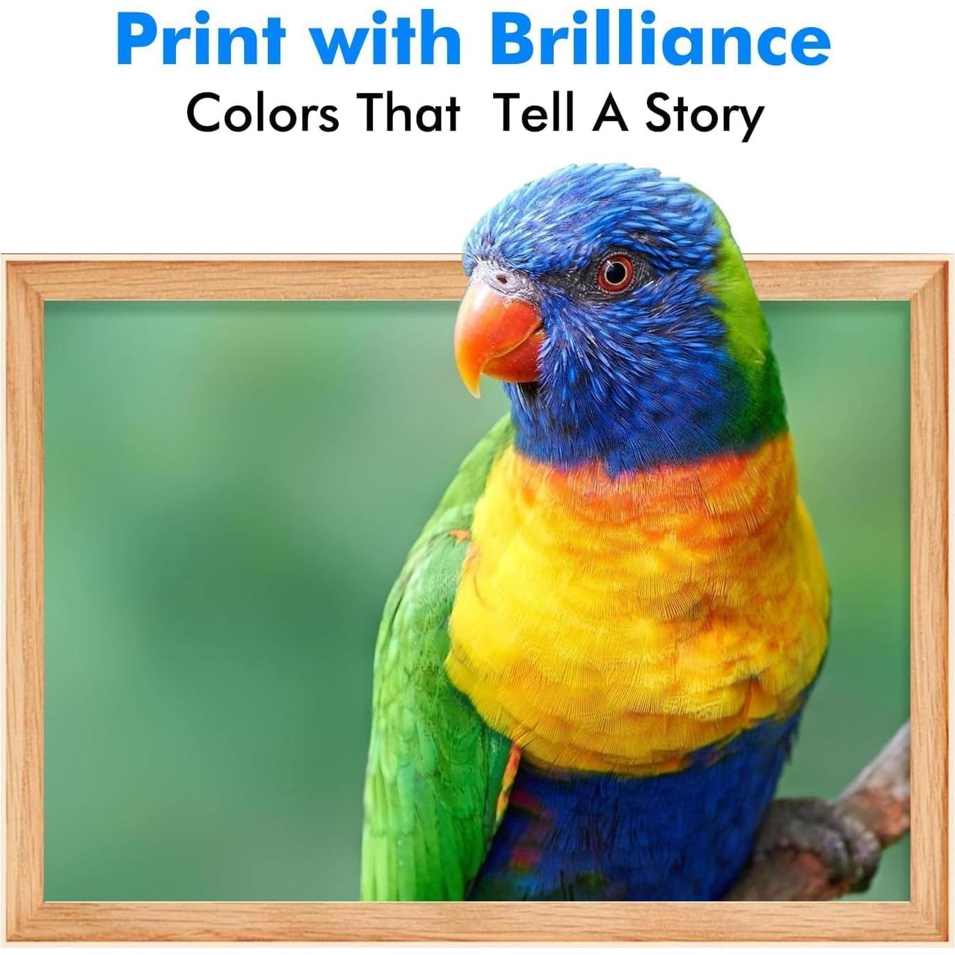 Cartucho de Tinta LC3013BK XL Negro Compatible Brother