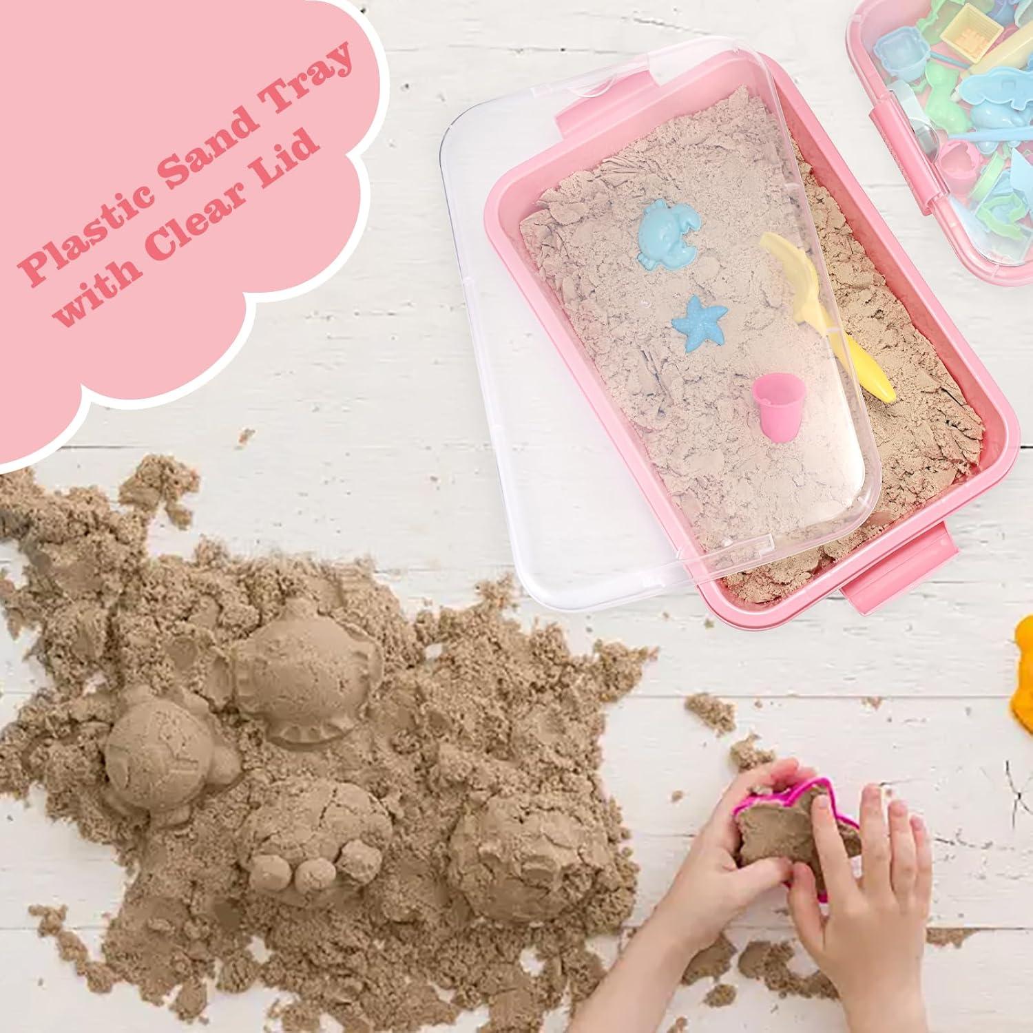 Bandeja de Arena Plástica BTSKY 2PCS 38x25x8cm Rosa con Tapa