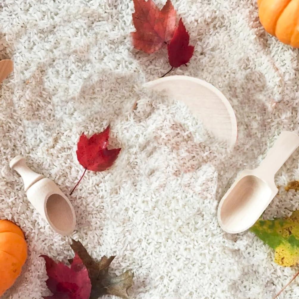 10 Piezas Herramientas Sensoriales de Madera Montessori Yowlieu