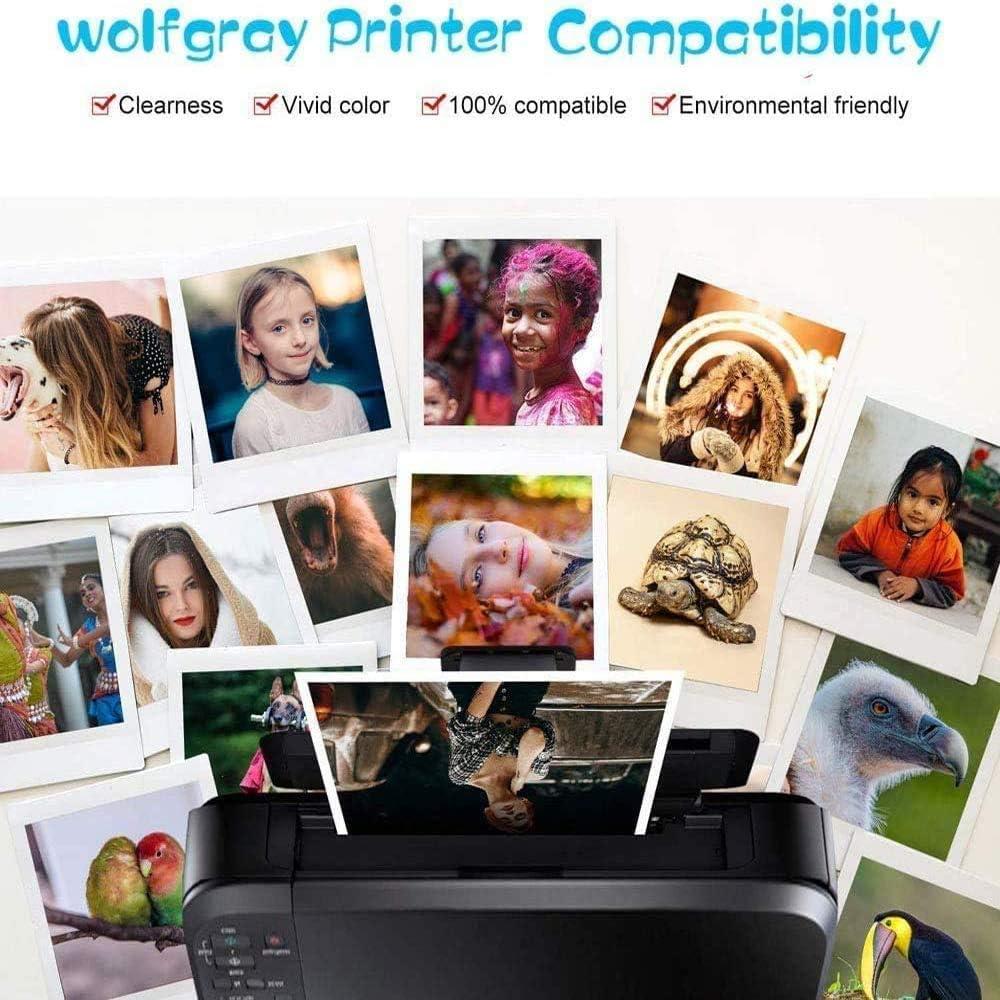 Cartuchos de tinta Wolfgray LC61 LC65 compatibles 12 unidades