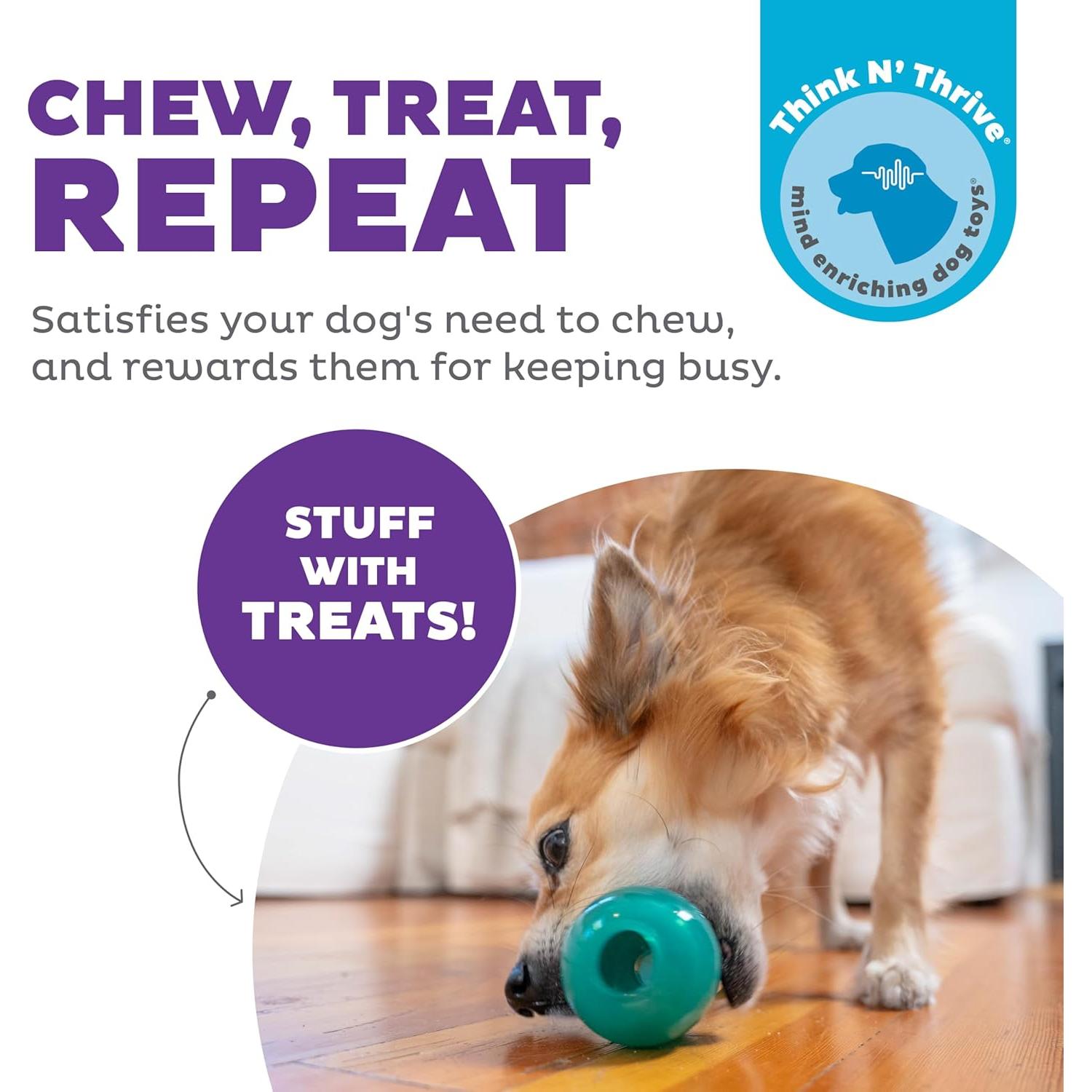 Juguete Interactivo para Perros Outward Hound 10 cm Verde