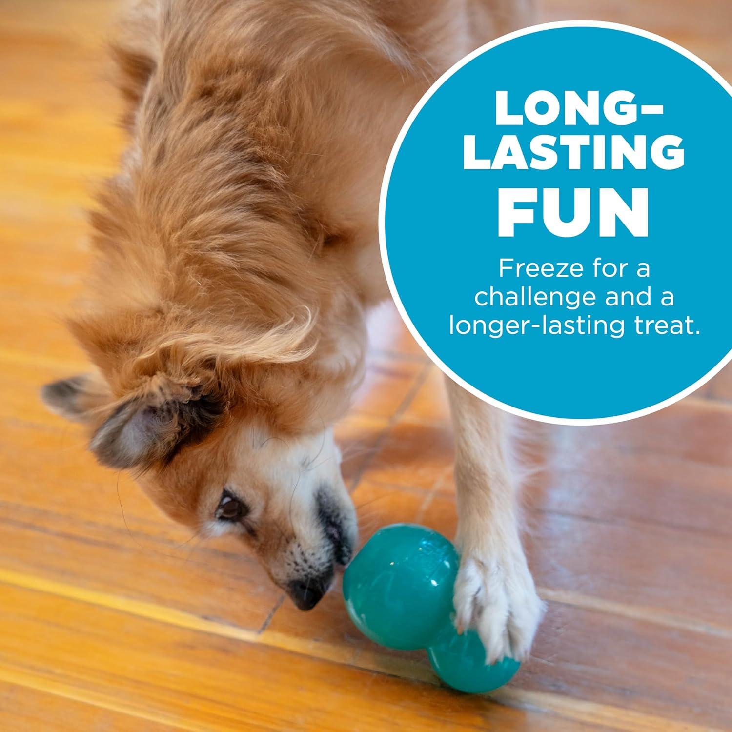 Juguete Interactivo para Perros Outward Hound 10 cm Verde