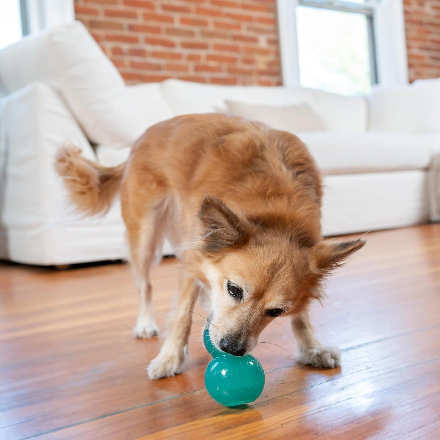 Juguete Interactivo para Perros Outward Hound 10 cm Verde