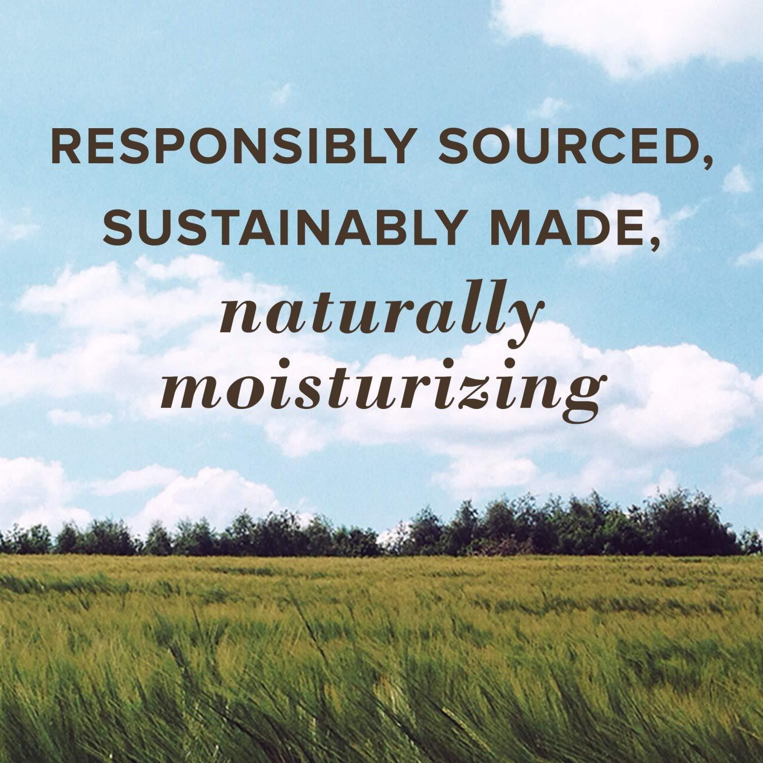 Balm de Labios Medicado Burt's Bees 4.25 g Hidratante Natural